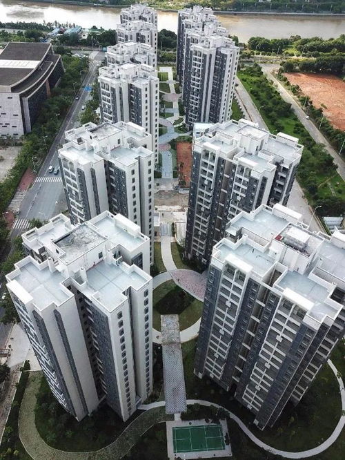 1800元觀廣州塔！商品房客廳改造公寓引熱議，年輕人直呼“慕了”